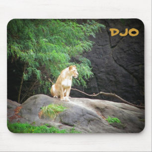 Lioness Musmatta