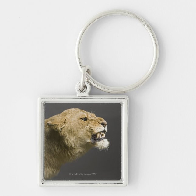 Lioness mycket 2 fyrkantig silverfärgad nyckelring (Framsidan)