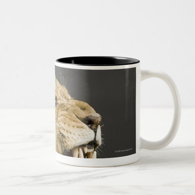 Lioness mycket 2 Två-Tonad mugg (Höger)