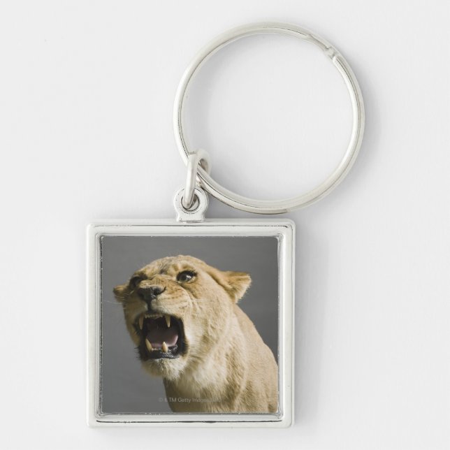 Lioness mycket fyrkantig silverfärgad nyckelring (Framsidan)