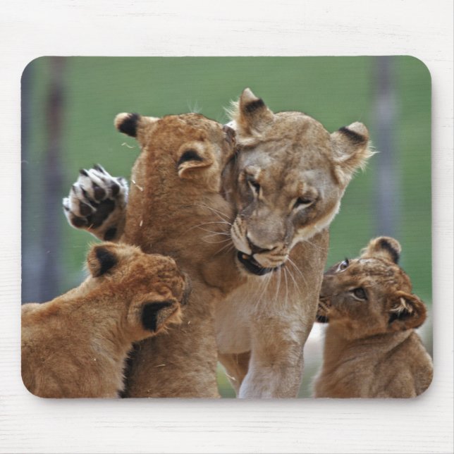 Lioness och 3 Unge Mousepad Musmatta (Framsidan)