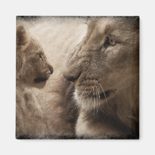 Lioness och unge magnet