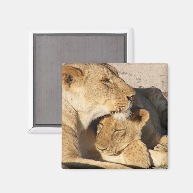 Lioness och Unge tillsammans Magnet (Front/Back)