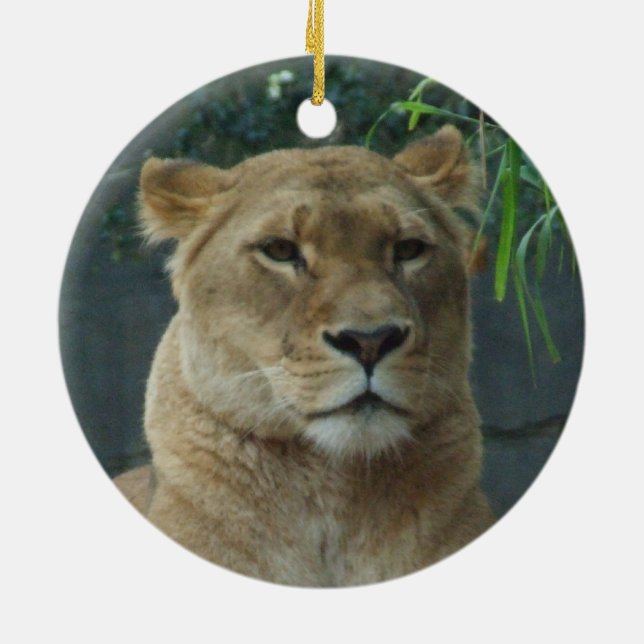Lioness Ornament (Baksidan)