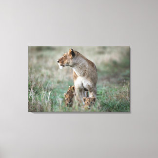 Lioness (Panthera leo) och unge, Masai Mara Canvastryck