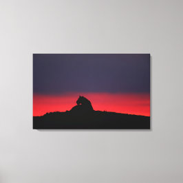 Lioness (Panthera leo) sitta, vid sunset, Masai Canvastryck