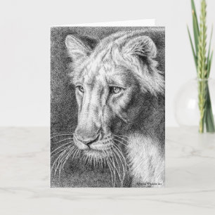 Lioness Pen Teckning-hälsningskort Kort