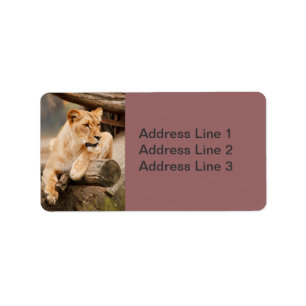 Lioness Photo Label Adressetikett