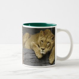 Lioness Photo Mugg