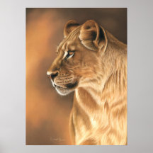 Lioness Poster