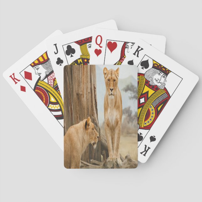 Lioness Regler Casinokort (Baksidan)