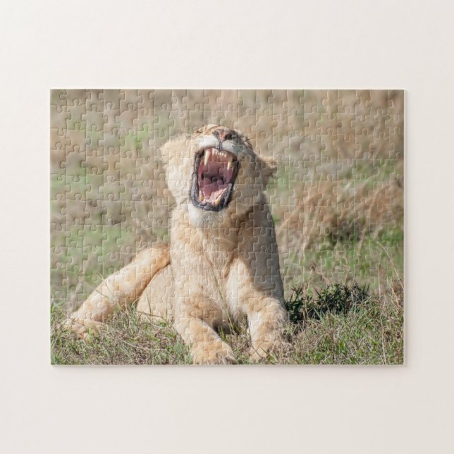 Lioness Roaring Puzzle Pussel (Horisontell)