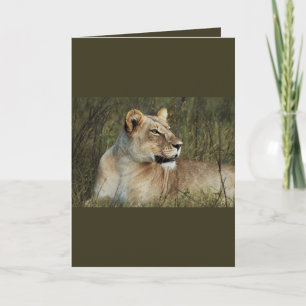 Lioness - safari-gratulationskort kort