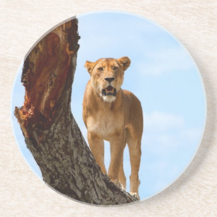 Lioness Underlägg Sandsten