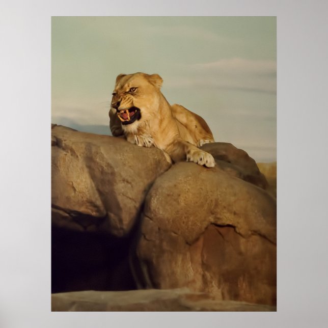 Lioness visar sig poster (Framsidan)