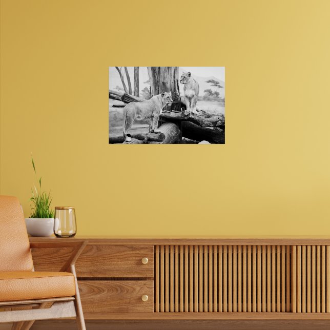 Lioness Wildlife Black & White Photography Art Poster (Vardagsrum 2)