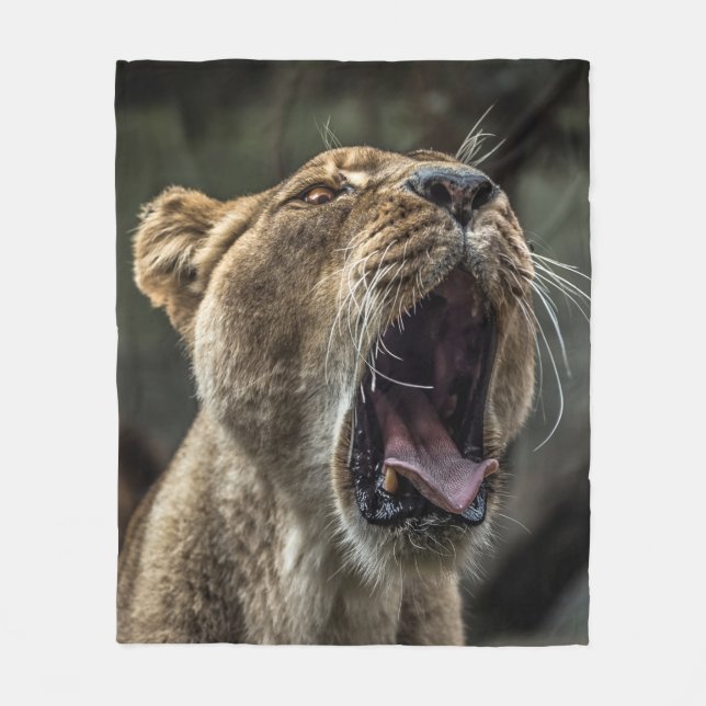 LIONESS YAWNING FLEECEFILT (Framsidan)