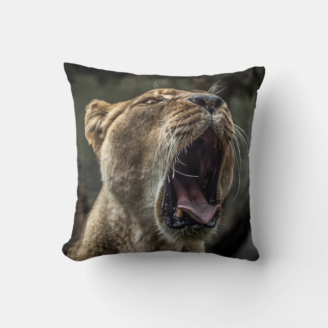 LIONESS YAWNING KUDDE (Framsida)