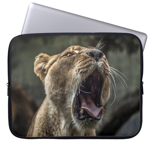 LIONESS YAWNING LAPTOP FODRAL (Framsidan)