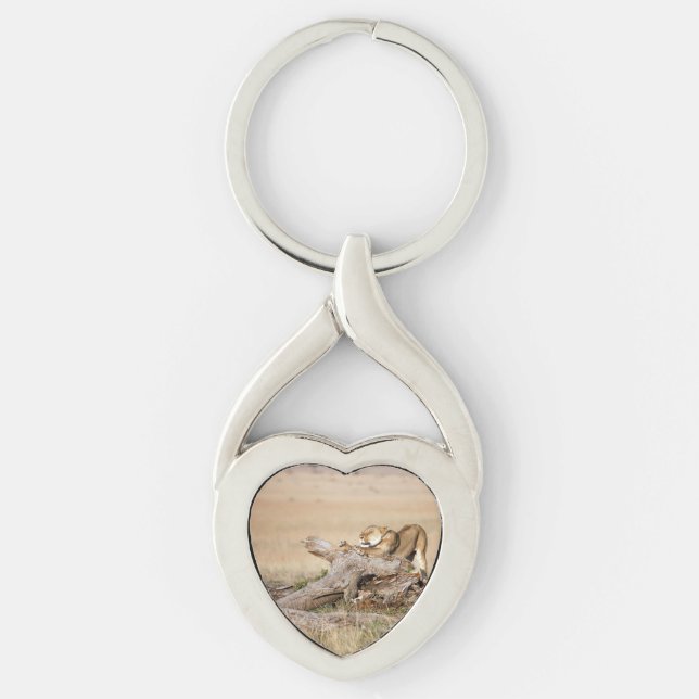Lionessan sträcks ut twisted heart silverfärgad nyckelring (Framsidan)