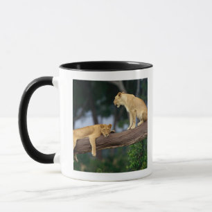 Lionesses i ett träd mugg