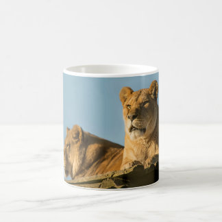 Lionesses Kaffemugg
