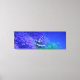 Lionfish Aquarium Fish Lila Pterois Zebrafish Canvastryck