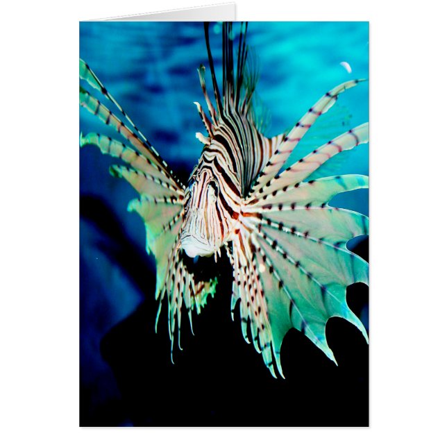 Lionfish Beauty Hälsningskort (Framsidan)