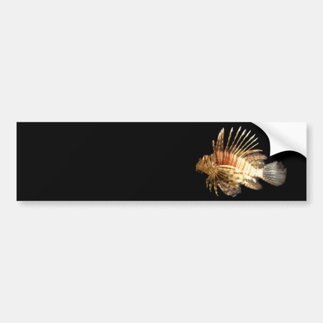 Lionfish Bildekal (Framsidan)