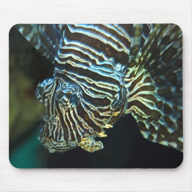 Lionfish Mousepad Musmatta (Framsidan)
