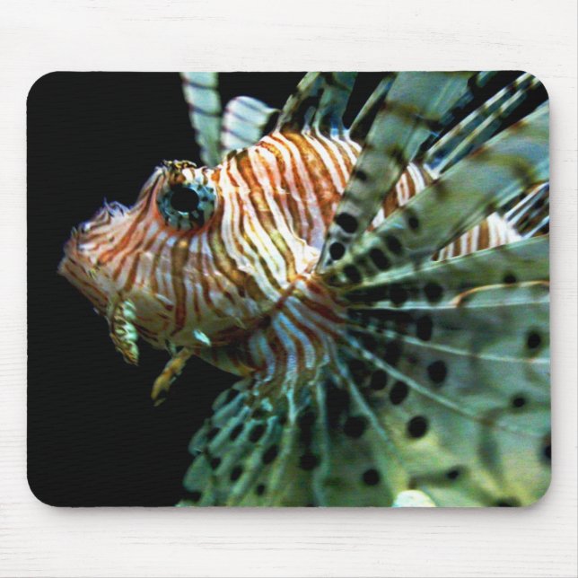 Lionfish Mousepad Musmatta (Framsidan)