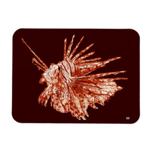 Lionfishen Magnet