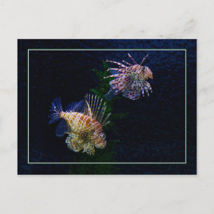 Lionfishen parar vykort