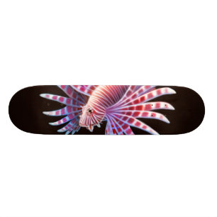 Lionfishskateboarden Skateboard Bräda 20 Cm
