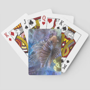 Lionfisk Casinokort