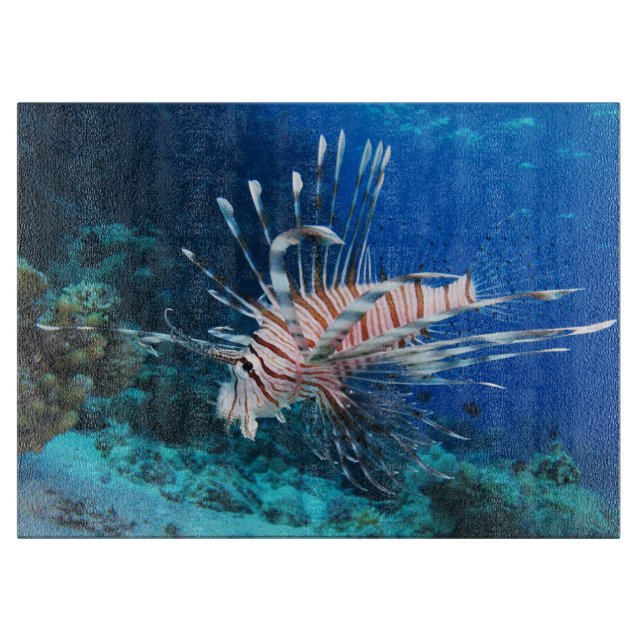 Lionfisk eller Pterois Miles, Ocean Reef Fish (Framsidan)