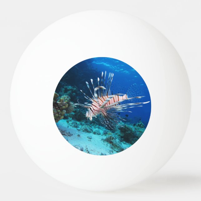 Lionfisk eller Pterois Miles, Ocean Reef Fish Pingisboll (Framsidan)