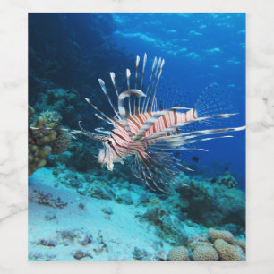 Lionfisk eller Pterois Miles, Ocean Reef Fish Vinflaska Etikett