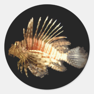 Lionfisk Runt Klistermärke