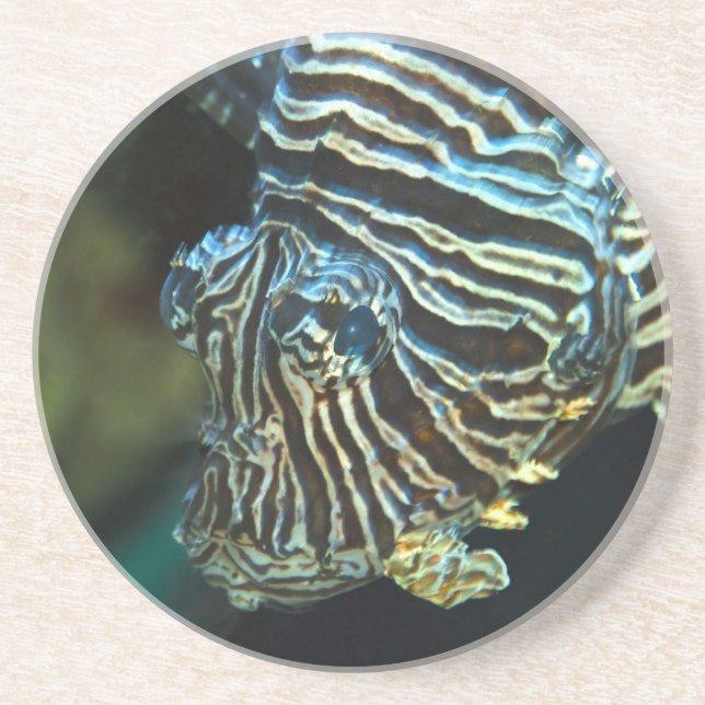 Lionfisk Underlägg (Framsidan)