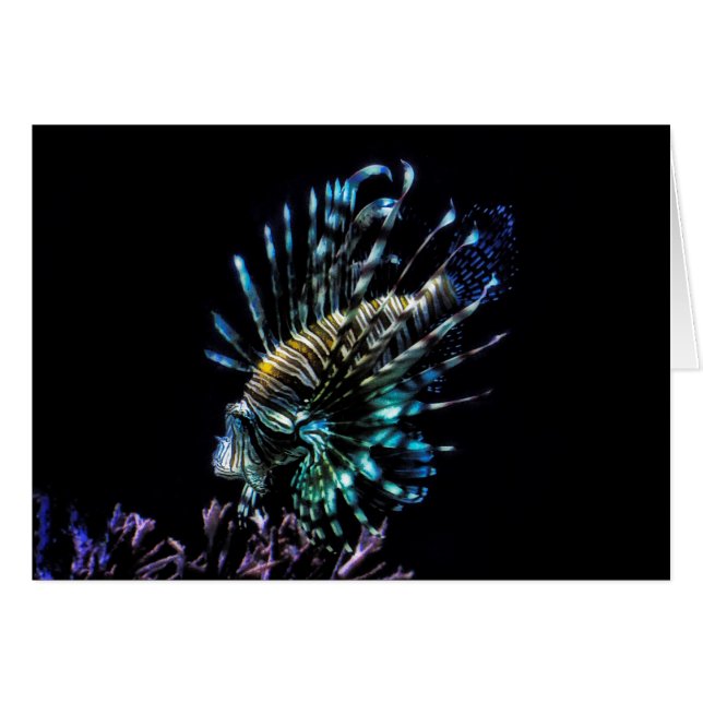 Lionfisksimmor Hälsningskort (Framsidan Horizontal)