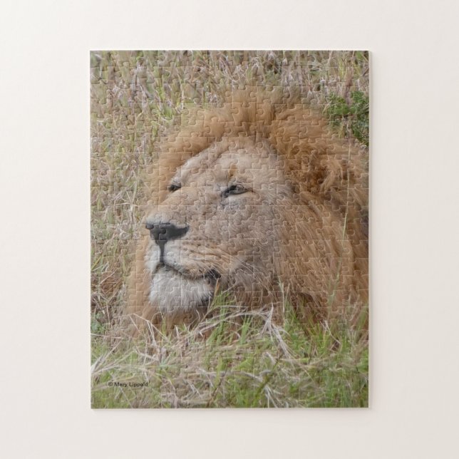 LIONHANE NÄRbild pussel (Vertikal)