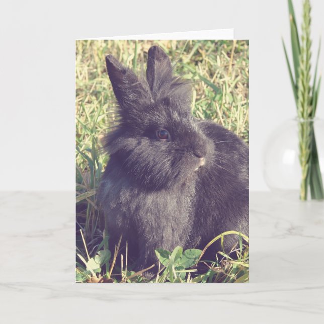 Lionhead Bunny Faux Vintage Kort (Framsida)