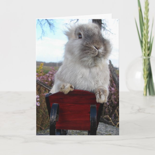Lionhead Bunny i Sleigh, Glad helg (Framsida)