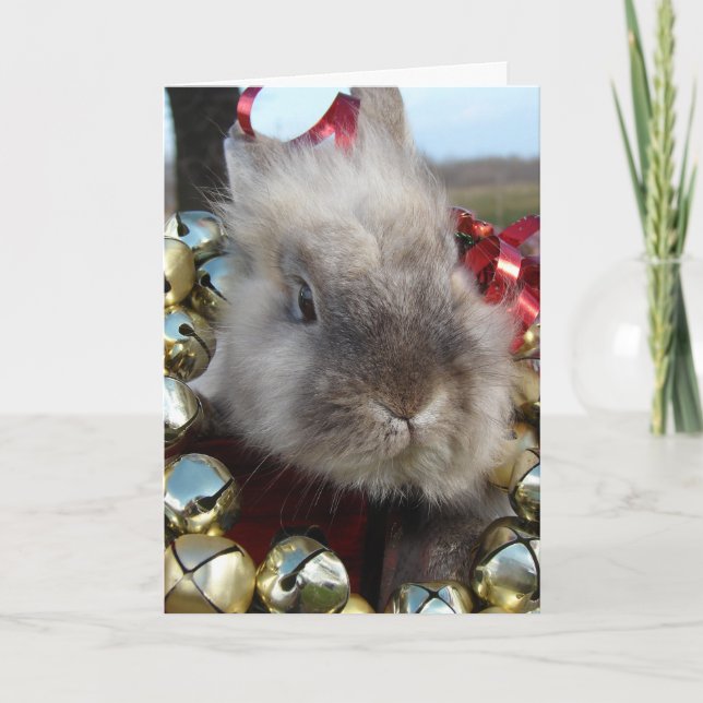 Lionhead Bunny-jul Helgkort (Framsida)