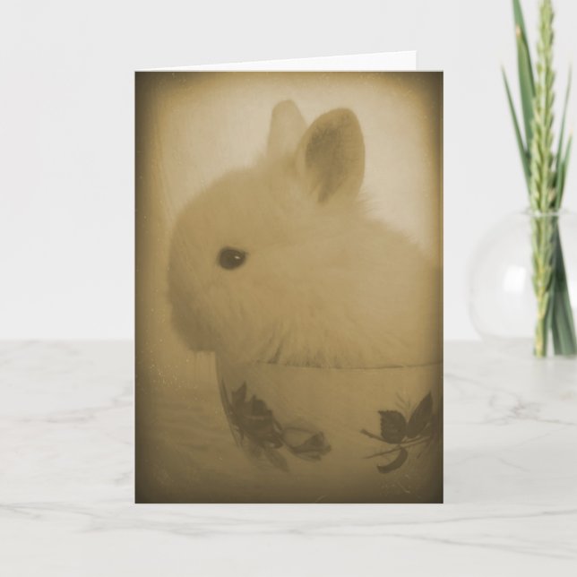 Lionhead Bunny och Tekopp Kort (Framsida)