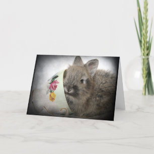 Lionhead Bunny och Tekopp Kort