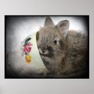 Lionhead Bunny och Tekopp Poster