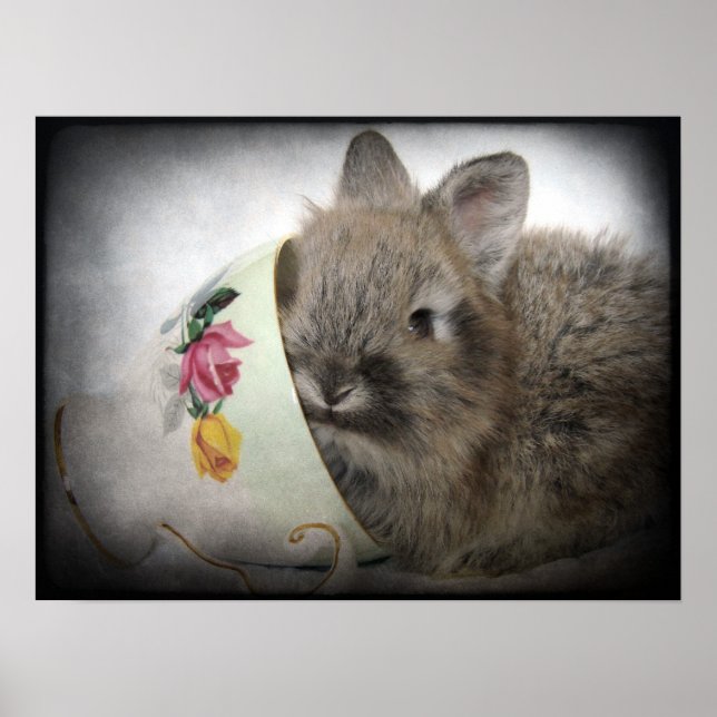 Lionhead Bunny och Tekopp Poster (Framsidan)