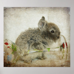 Lionhead Bunny och Vin Glass Poster
